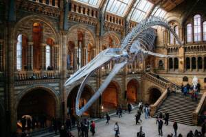 natural history museum