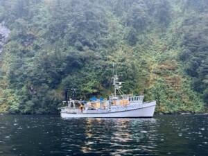 Langley_Placement005