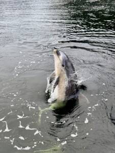 Langley_Placement009