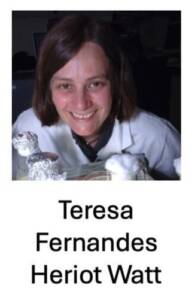Teresa Fernandes