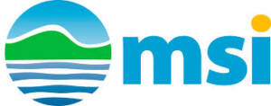 MSI Logo