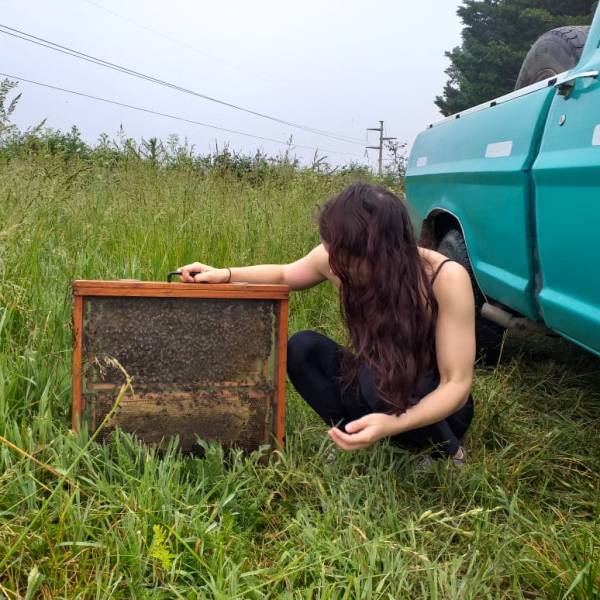 Hazel_profile_pic_arg_bee